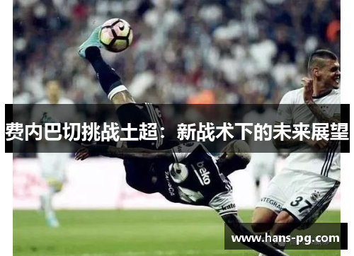 费内巴切挑战土超：新战术下的未来展望